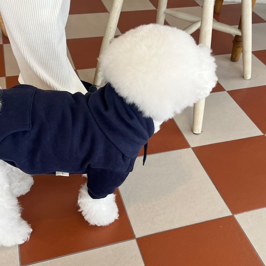 EcoTail Puppy Hooded Sweater (Teddy & Small Breeds)