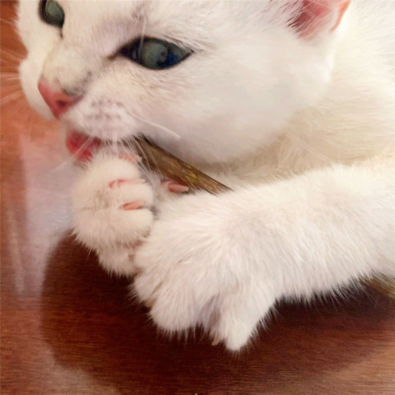 EcoTail™ Natural Wood Chew Sticks – Dental Teething Snacks for Cats (10 Bags)(EcoSafe)