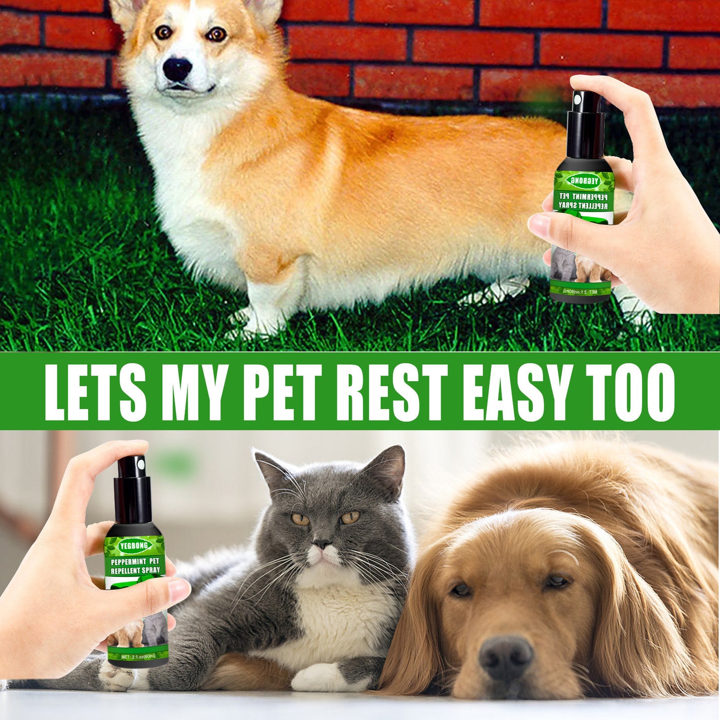 EcoTail™ Mint Pet Dog & Cat Anti-Fungal Spray (EcoSafe)