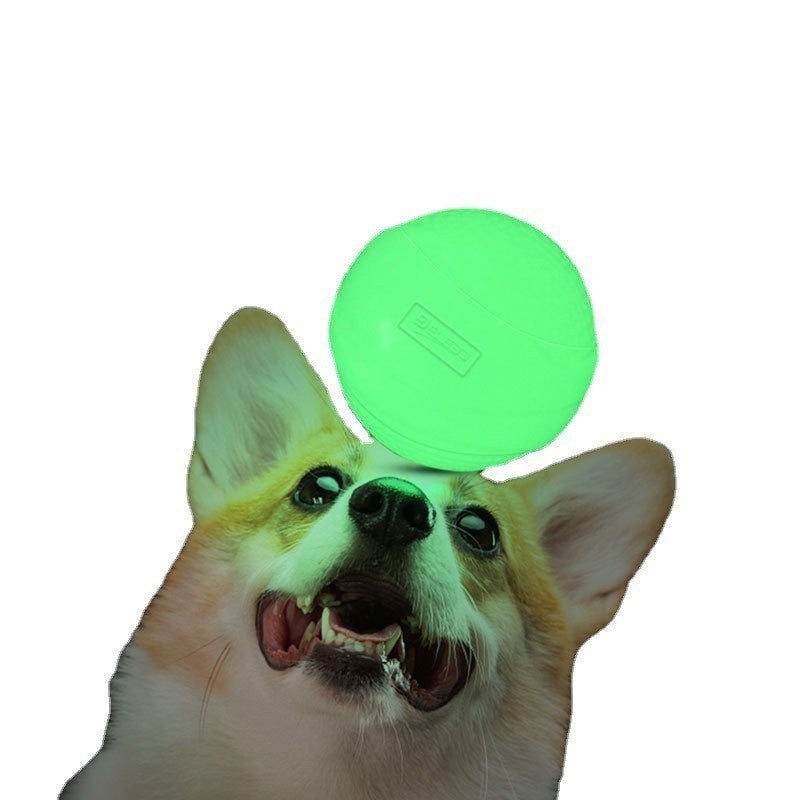 EcoTail™ Glow Ball – Elastic Chew & Play Toy for Dogs