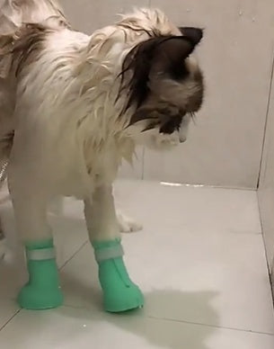 EcoTail™ Anti-Scratch Grooming Bag (Cat EcoSafe)