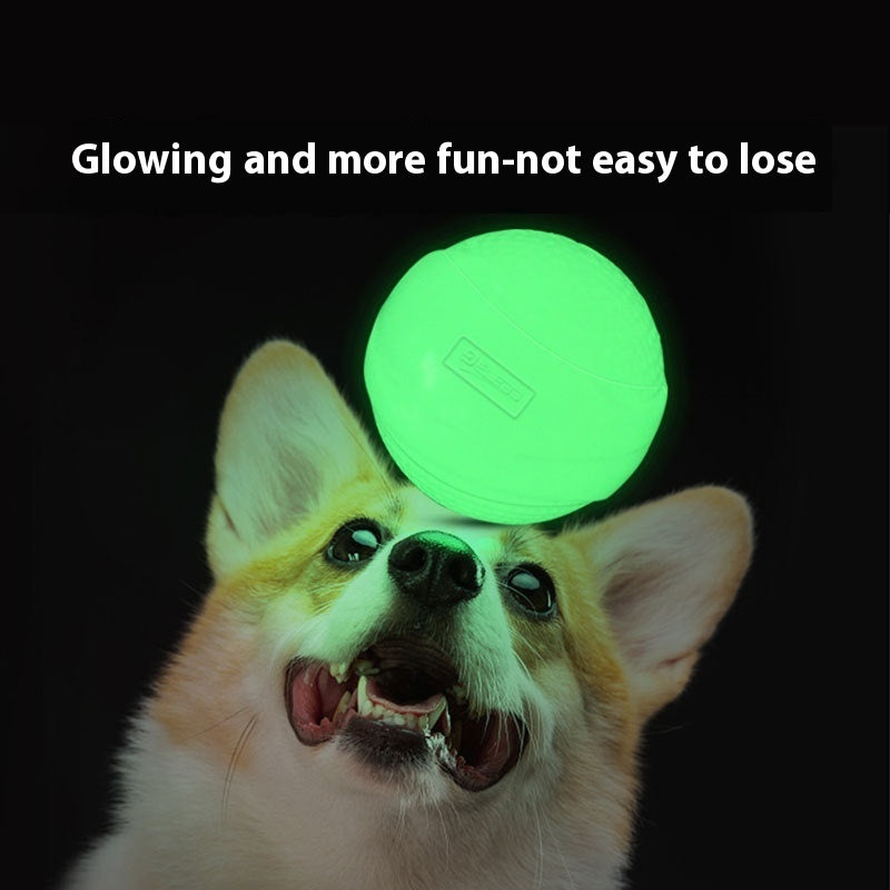 EcoTail™ Glow Ball – Elastic Chew & Play Toy for Dogs