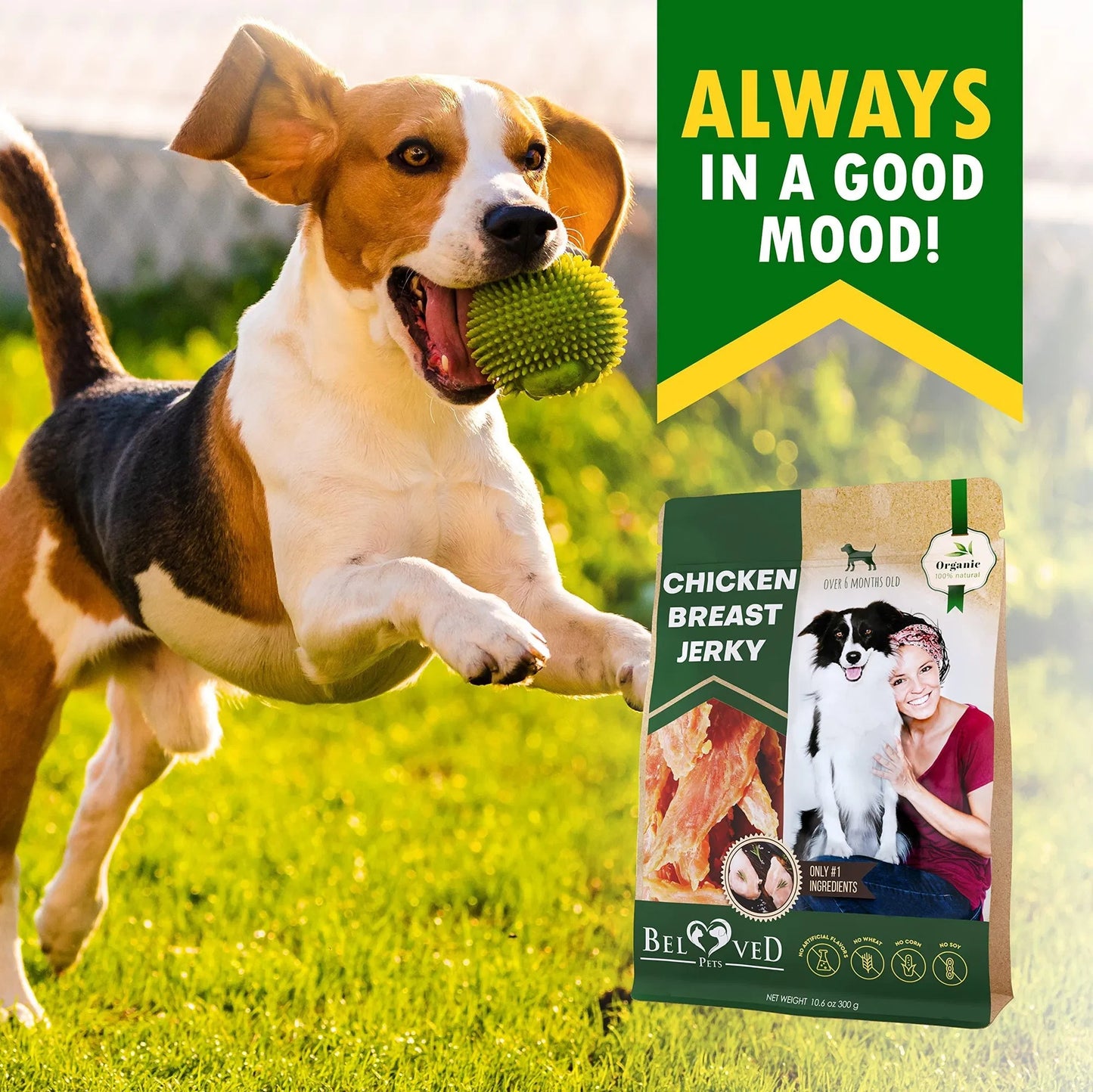 EcoTail™ Chicken Jerky Dog Treats – 100% Natural, Grain-Free, High Protein, Human-Grade Snacks (300g)(EcoSafe)