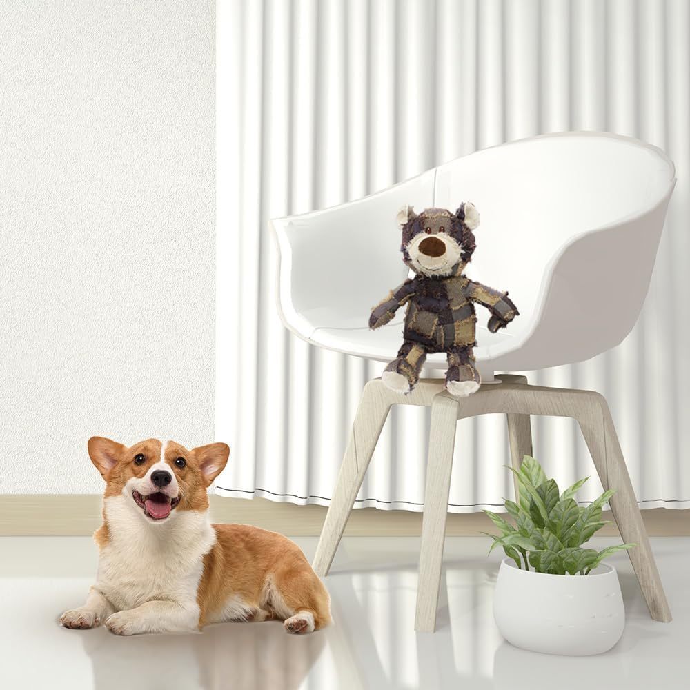 EcoTail Indestructible Squeaky Bear Toy – Heavy Chewers