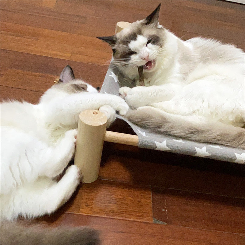 EcoTail™ Natural Wood Chew Sticks – Dental Teething Snacks for Cats (10 Bags)(EcoSafe)