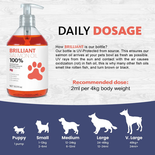 EcoTail™ Premium Salmon Oil for Dogs – Skin, Coat & Joint Support (EcoSafe)
