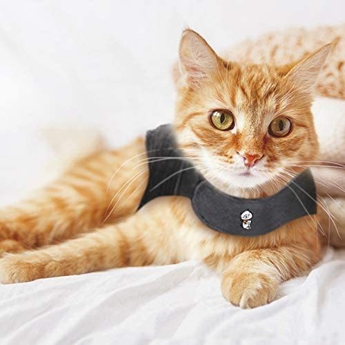 EcoTail™ ThunderShirt for Cats – Anxiety & Stress Relief Vest