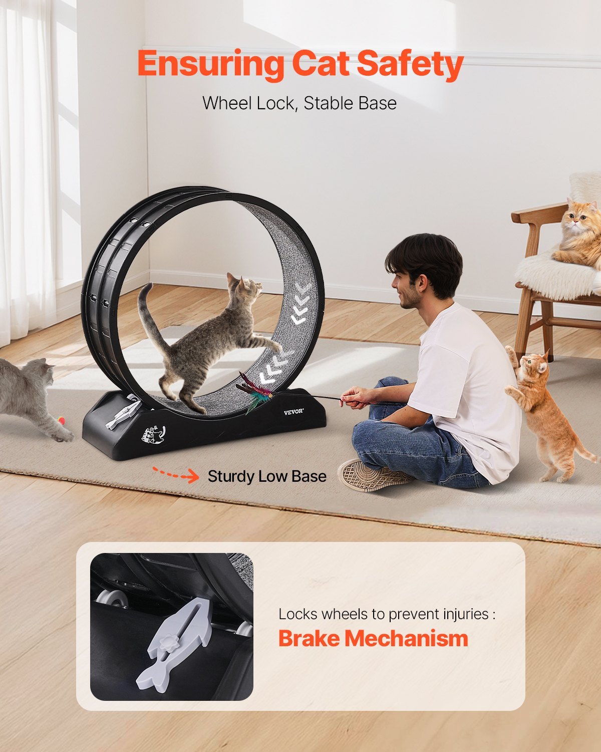 EcoTail™ Cat Exercise Wheel – Quiet Indoor Running Treadmill (31.5”)