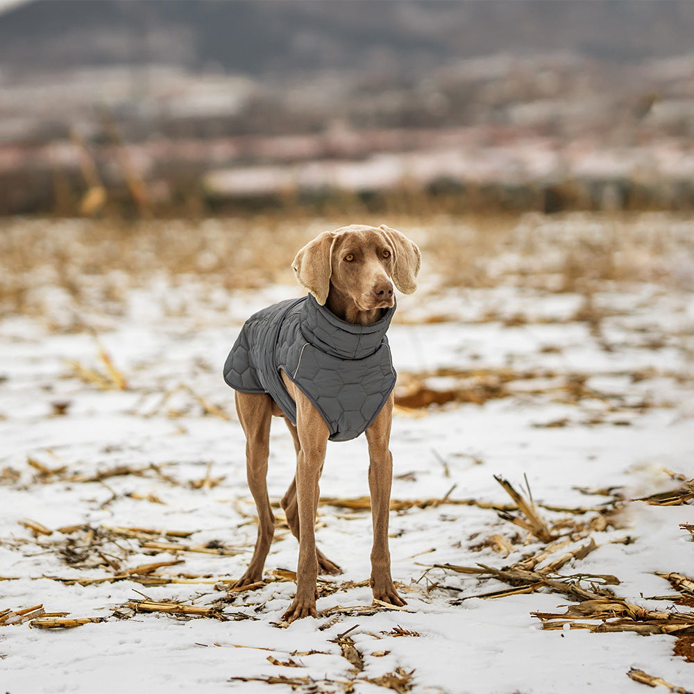 EcoTail Thick Winter Dog Jacket