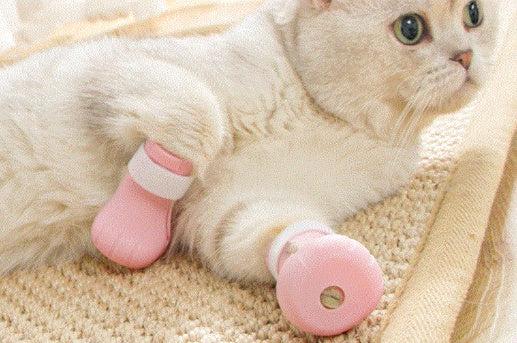 EcoTail™ Anti-Scratch Grooming Bag (Cat EcoSafe)