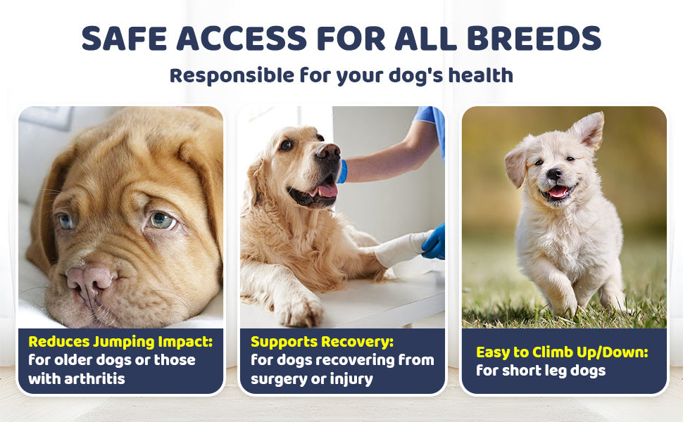 EcoTail™ Foldable Dog Stairs – 3-Step Storage Ramp