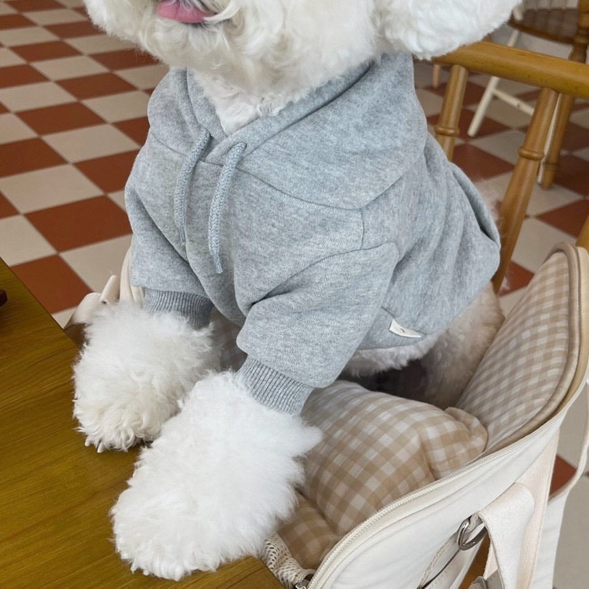 EcoTail Puppy Hooded Sweater (Teddy & Small Breeds)