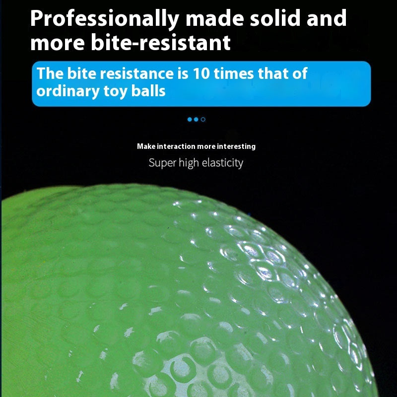 EcoTail™ Glow Ball – Elastic Chew & Play Toy for Dogs