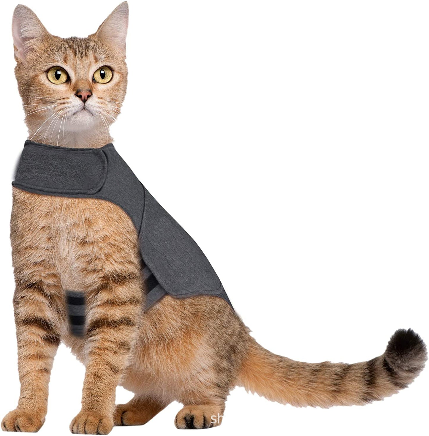 EcoTail™ ThunderShirt for Cats – Anxiety & Stress Relief Vest