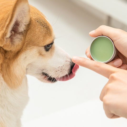 EcoTail™ Soothing Paw & Nose Balm (EcoSafe)