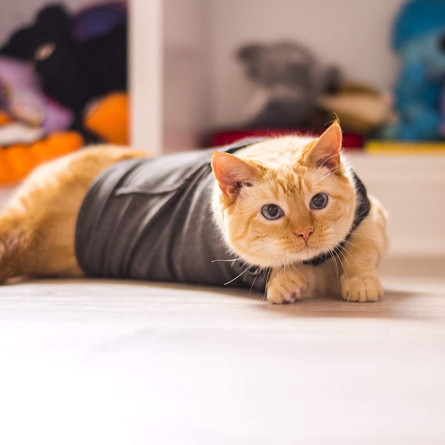 EcoTail™ ThunderShirt for Cats – Anxiety & Stress Relief Vest
