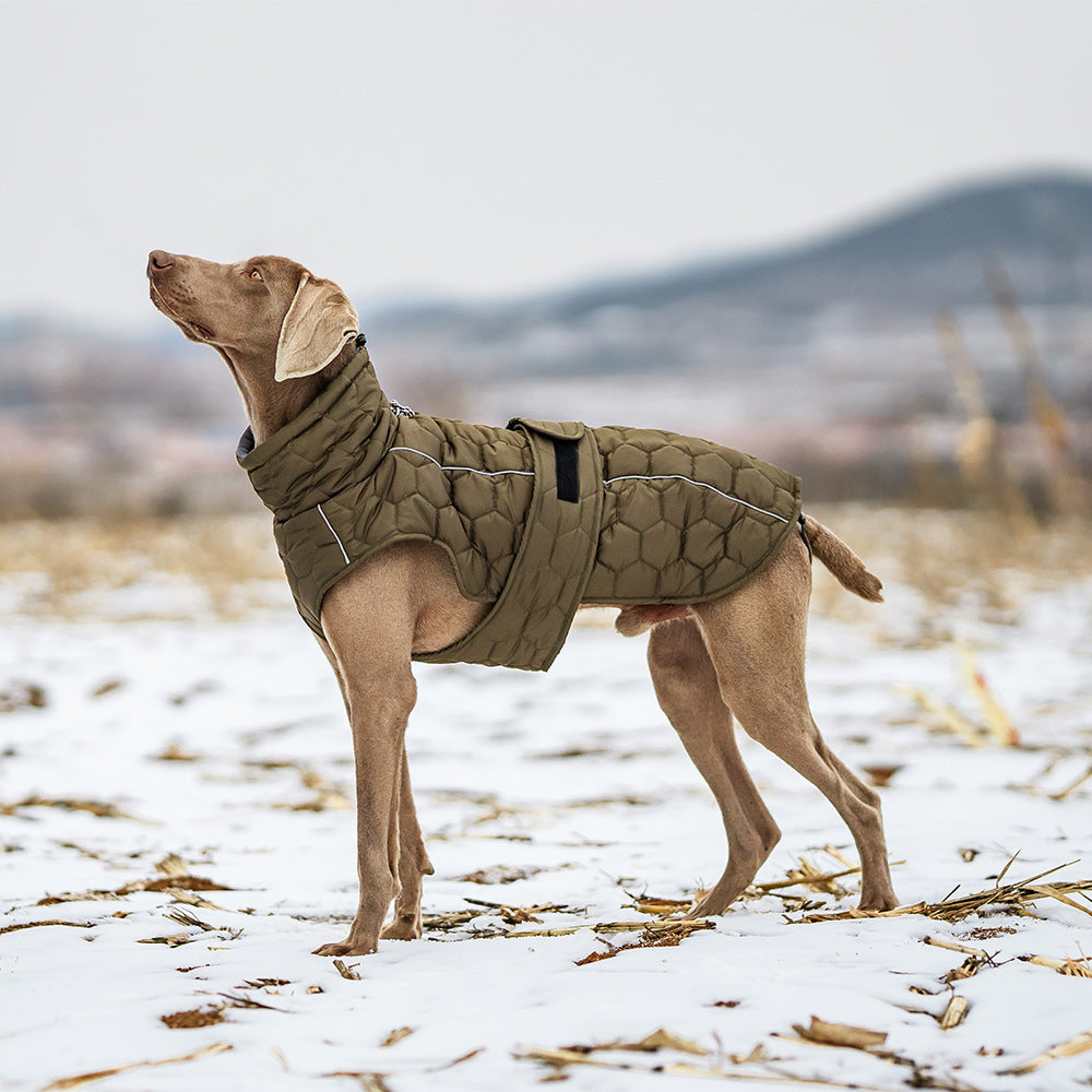 EcoTail Thick Winter Dog Jacket