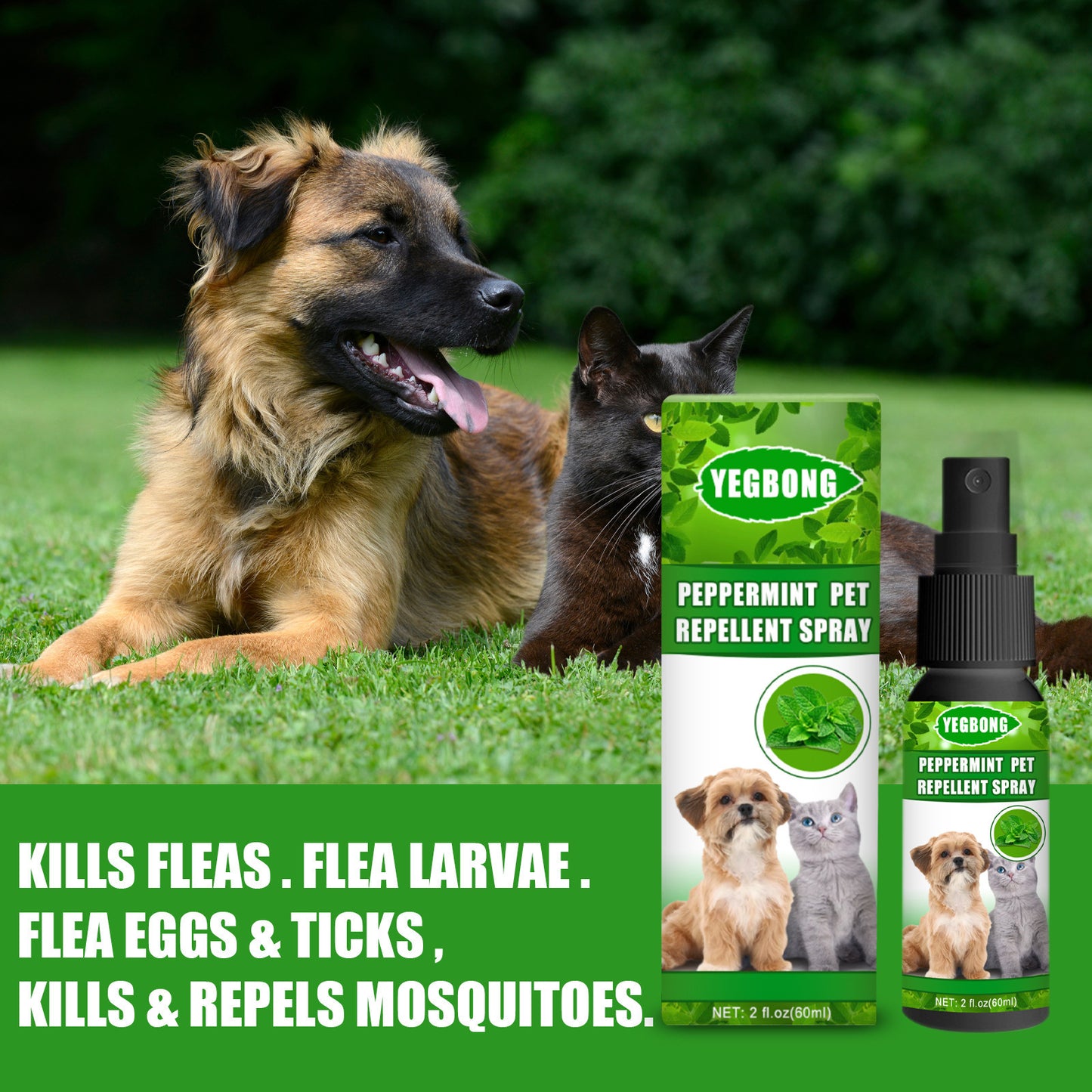 EcoTail™ Mint Pet Dog & Cat Anti-Fungal Spray (EcoSafe)