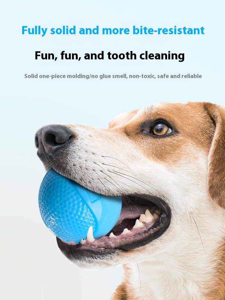 EcoTail™ Glow Ball – Elastic Chew & Play Toy for Dogs